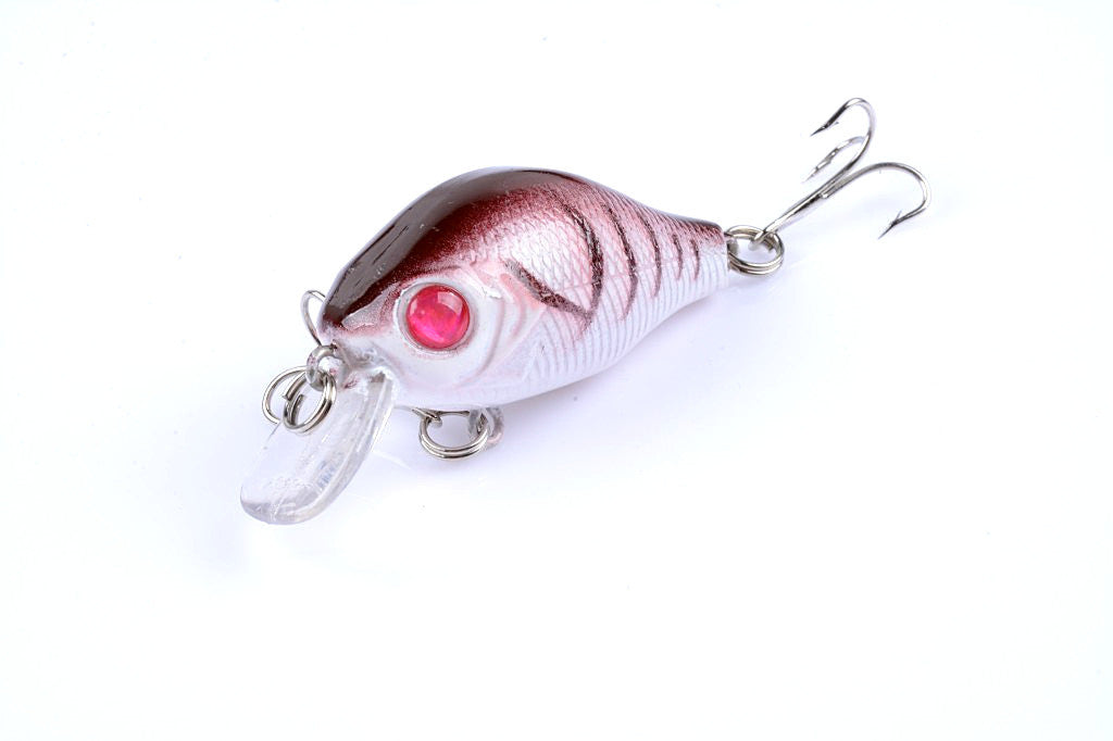 5x 5.5cm Popper Crank Bait Fishing Lure Lures Surface Tackle Saltwater